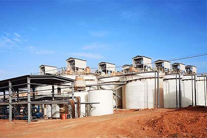 Guinea 15000TPD Gold Ore Processing Plant